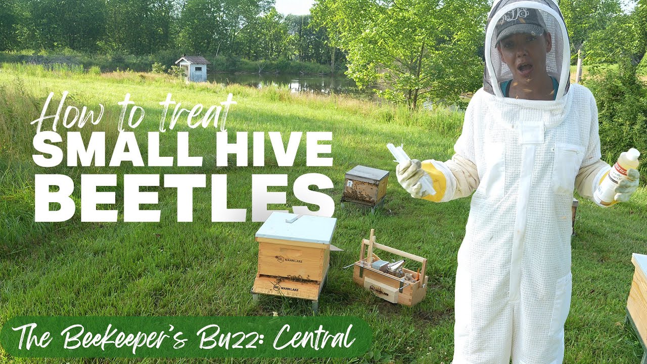 Bee Hive Expansion & Small Hive Beetle Traps | The Beekeeper's Buzz for Central U.S.