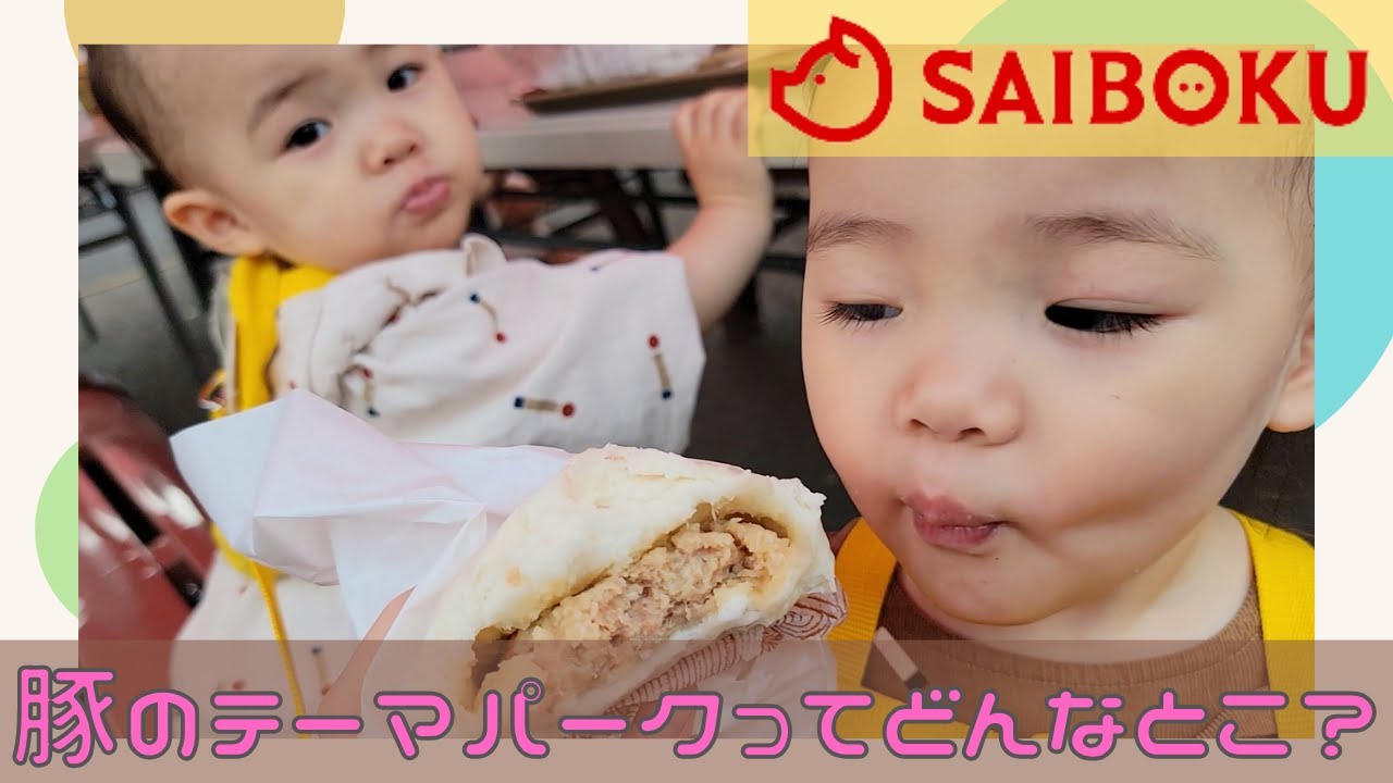 【お出かけに密着】双子＆年子を連れて豚のテーマパークへ！サイボクってどんなとこ？