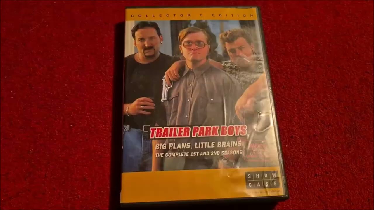 DVD Collection Update November 21 2025