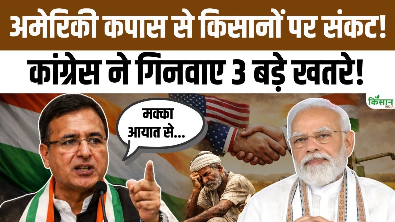 India-America Trade Deal पर Congress ने गिनवाए किसानों को तीन बड़े खतरे! कपास किसानों को बड़ा नुकसान
