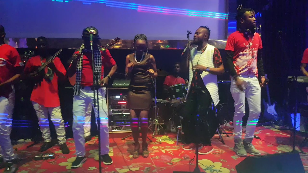 Sweet love Kosovo and band to adlife