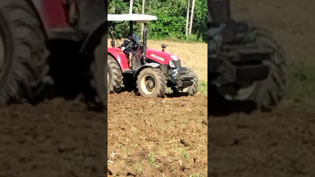 Harrowing,land preparation.