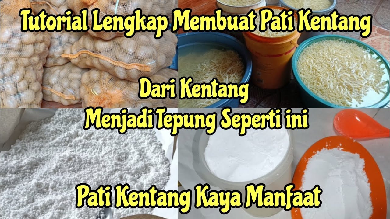 PROSES PEMBUATAN TEPUNG SARI PATI KENTANG // AMILUM PATI KENTANG