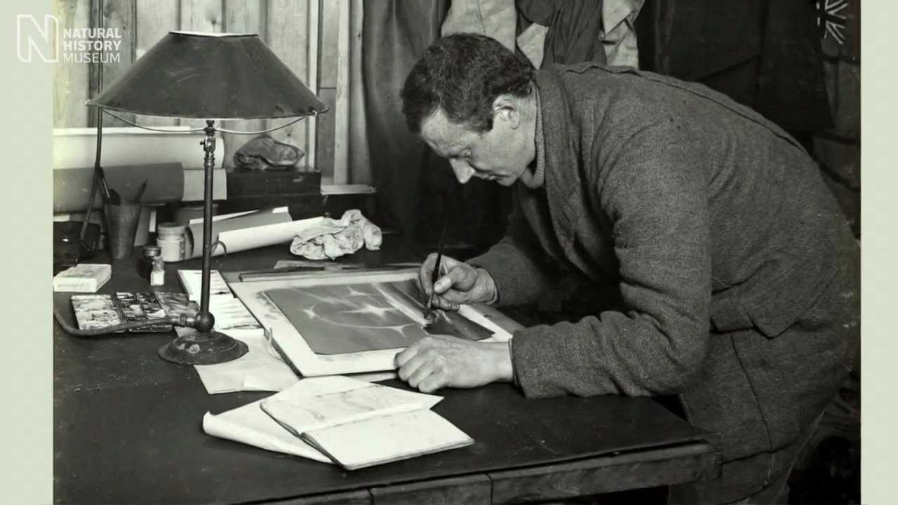 Edward Wilson's ground-breaking watercolours | Natural History Museum