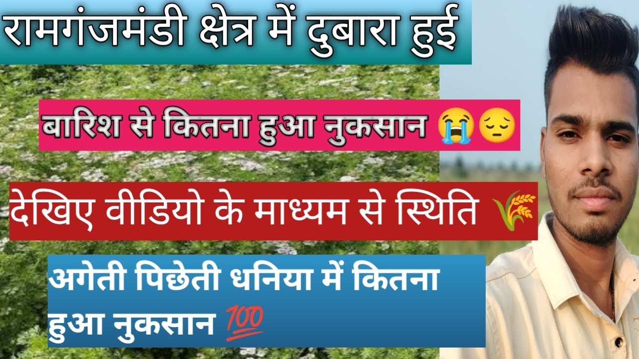 #रामगंजमंडी क्षेत्र में पिछेती धनिया की क्या है स्थिति 🫡 बारिश से कितना हुआ नुकसान 💯