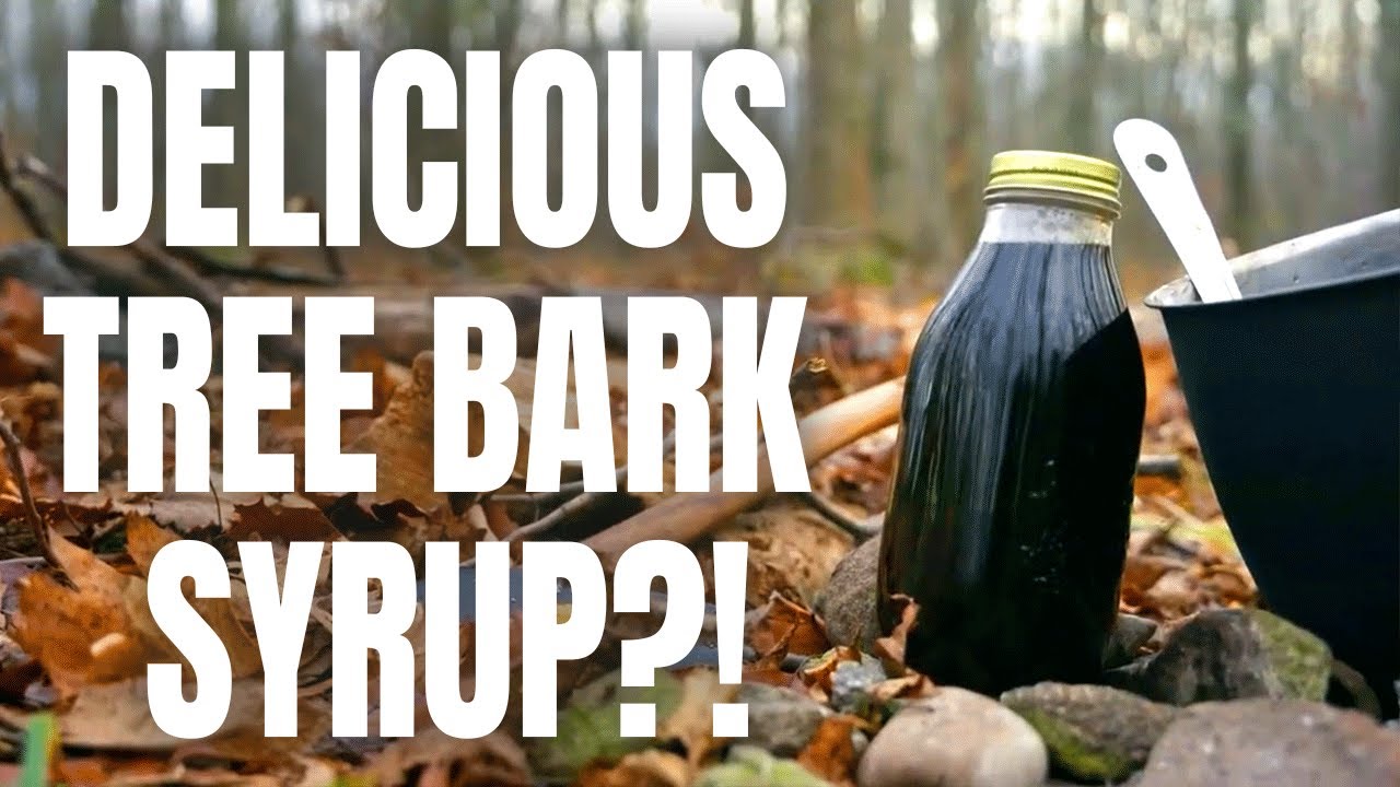 Foraging Hickory Bark to Make Syrup | Wild Kitchen Episode 7 | Flambe!