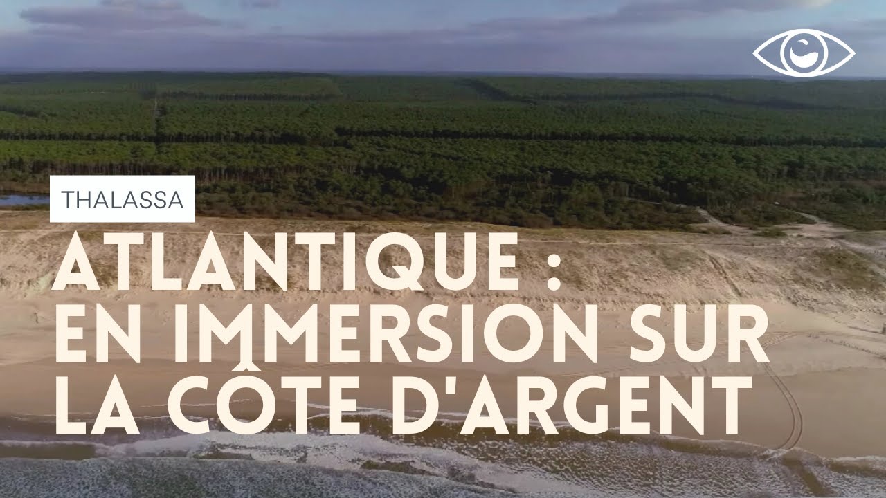 Atlantique : en immersion sur la Côte d'Argent (vue du ciel) Thalassa