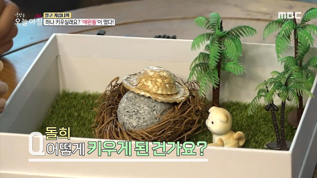 [생방송 오늘 아침] 사람들이 '애완돌'을 찾는 이유?, MBC 211111 방송