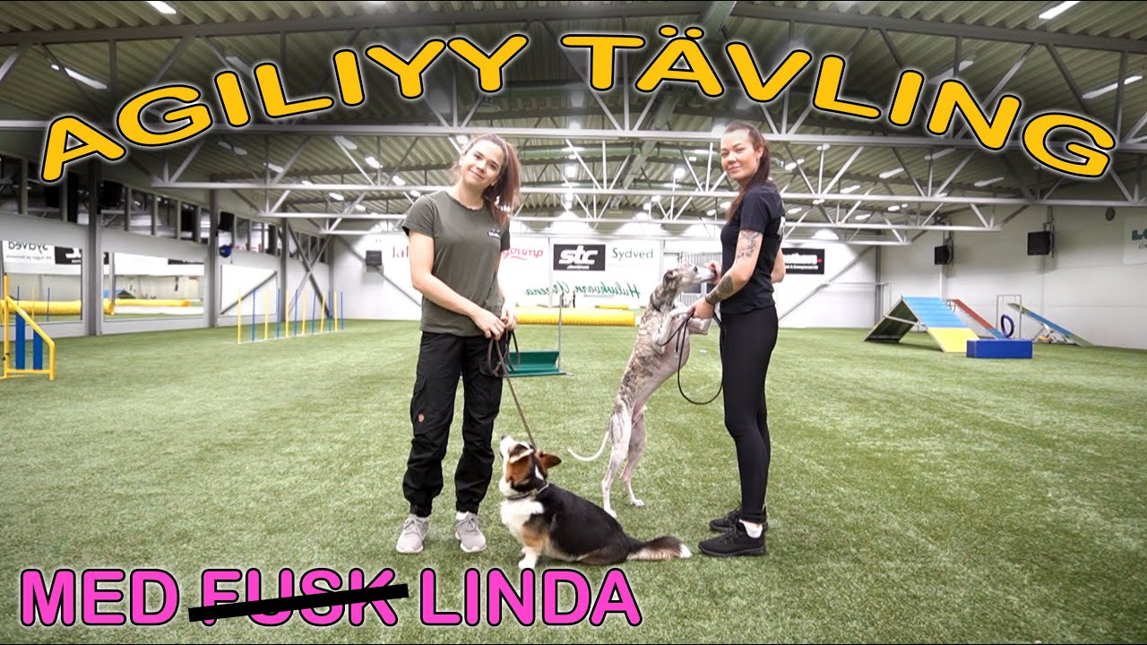 AGILITY TÄVLING