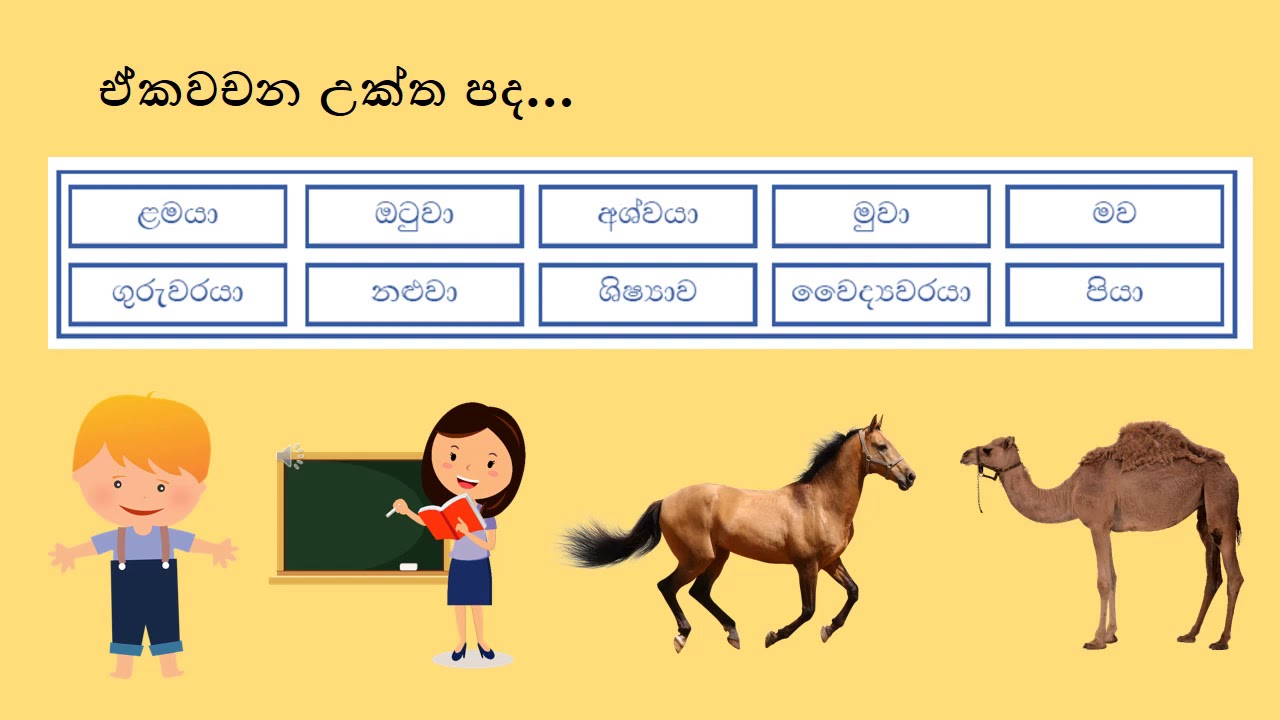 Grade 5  Sinhala  නාම පද උක්ත පද හදුන්වාදීම