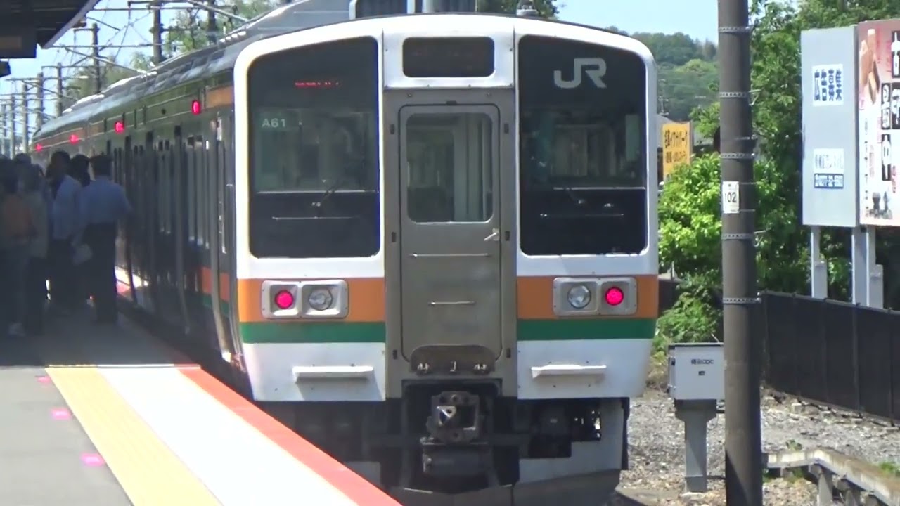 【混雑観察】両毛線あしかがフラワーパーク駅のGWの様子