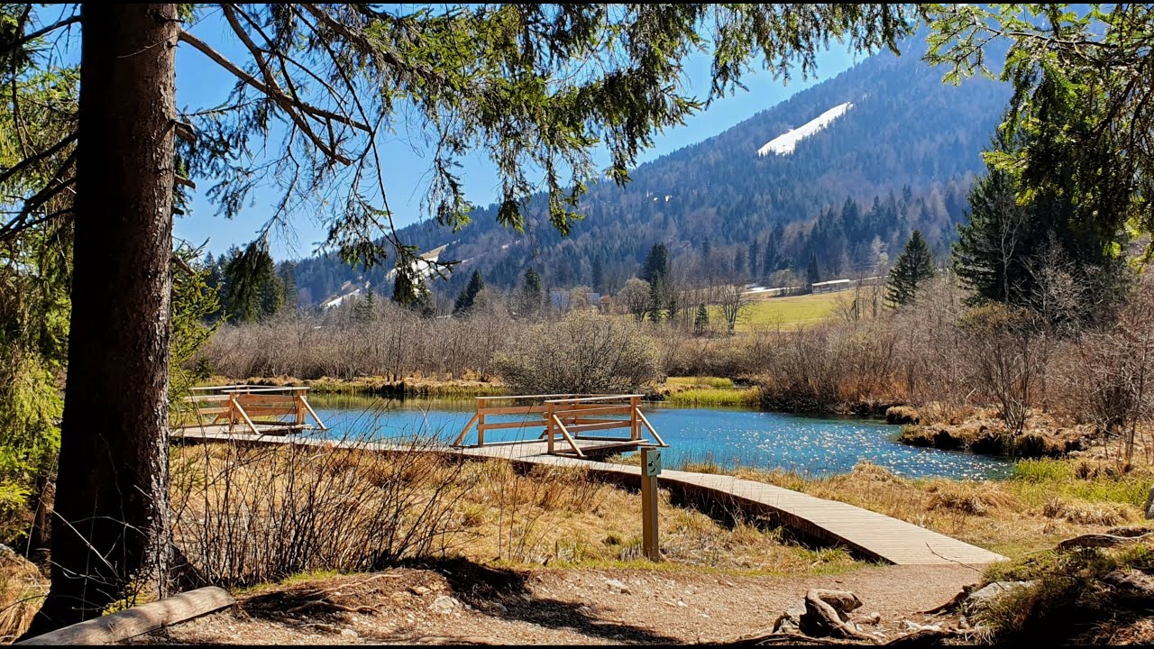 Natural reserve Zelenci. Kranjska Gora, Slovenia