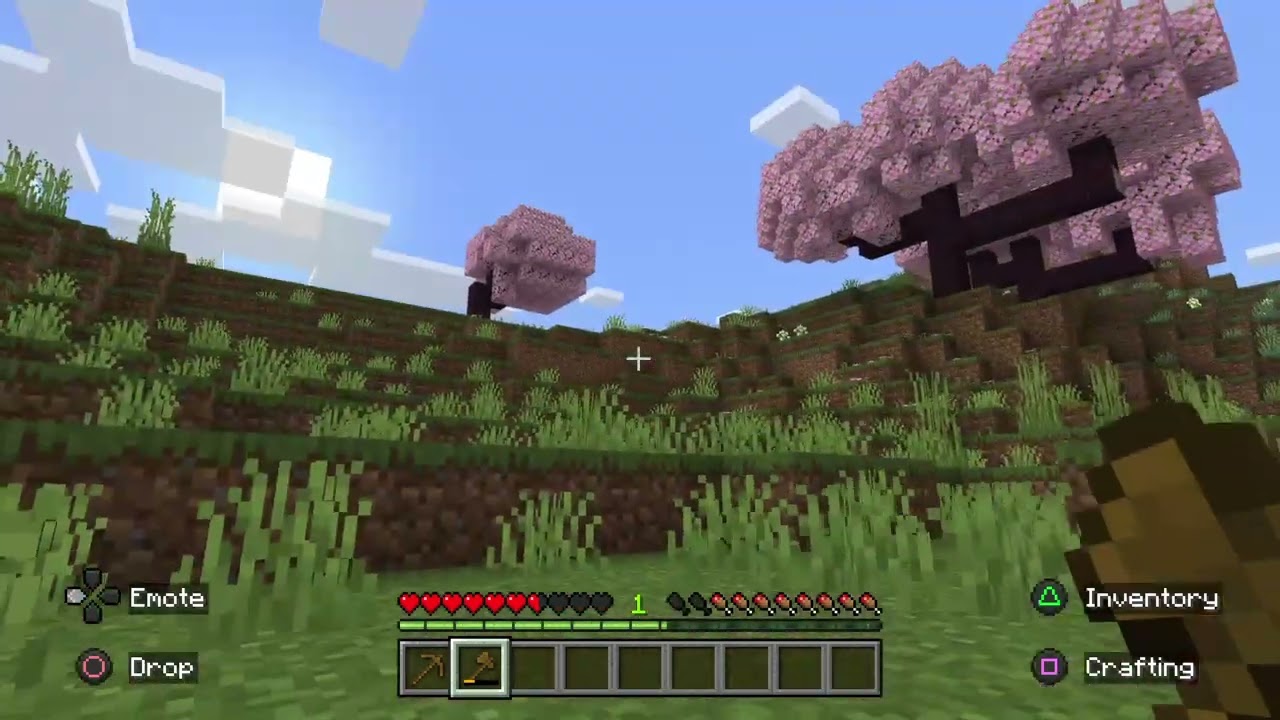 Minecraft cool video 3
