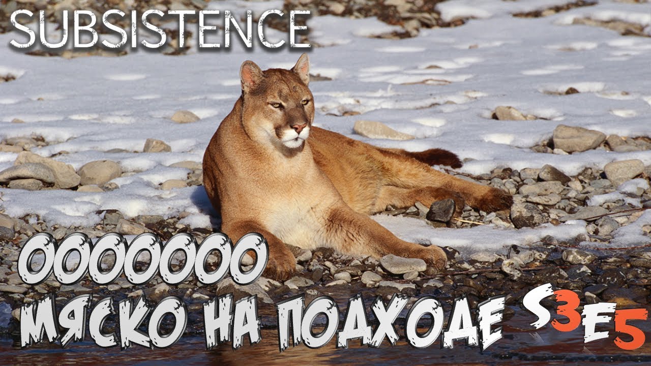 Subsistence➤Пума здесь не Проблема :) - s3e5