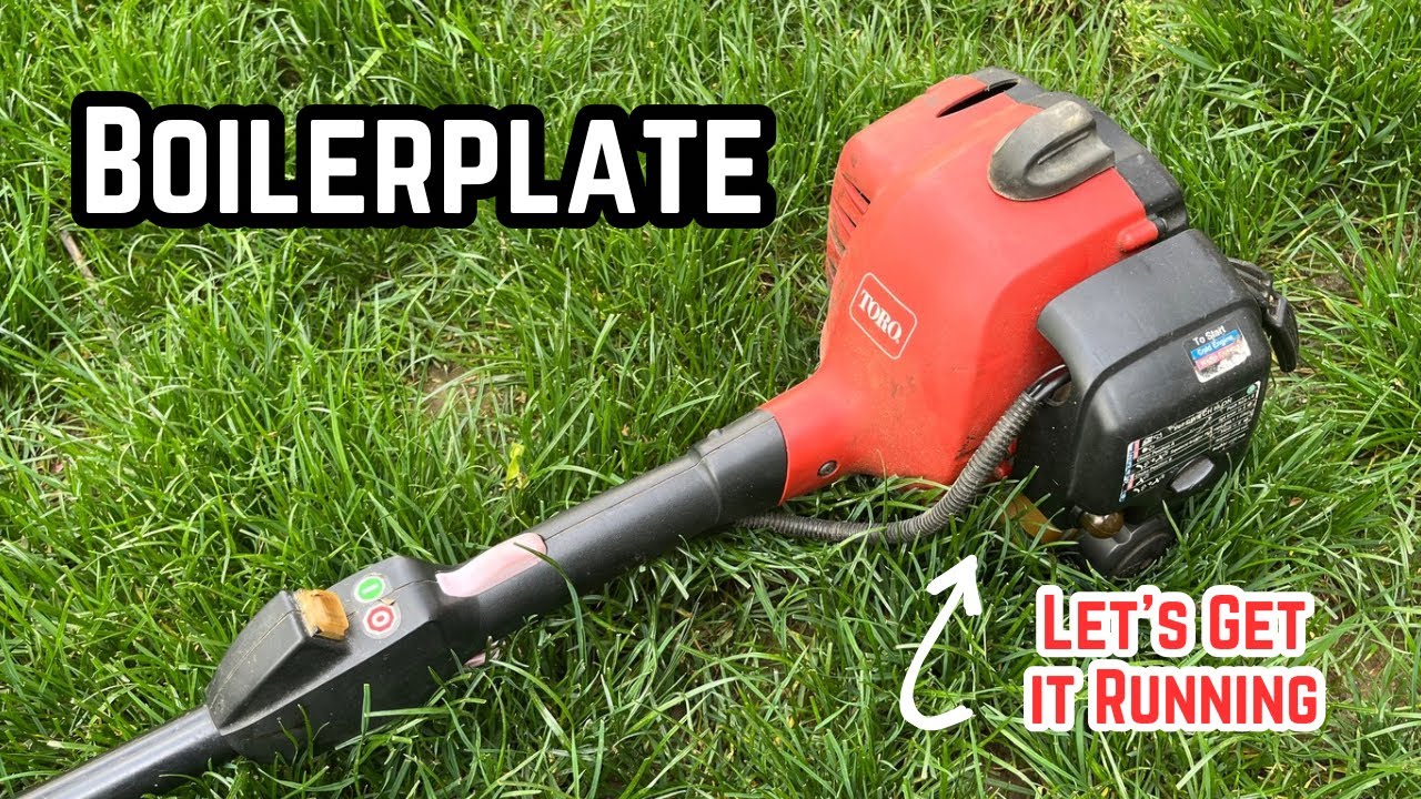 Estate Cleanout Toro 25cc String Trimmer, What's it Need?