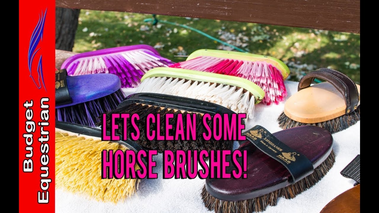 How To Clean Your Horse Brushes - So Easy!