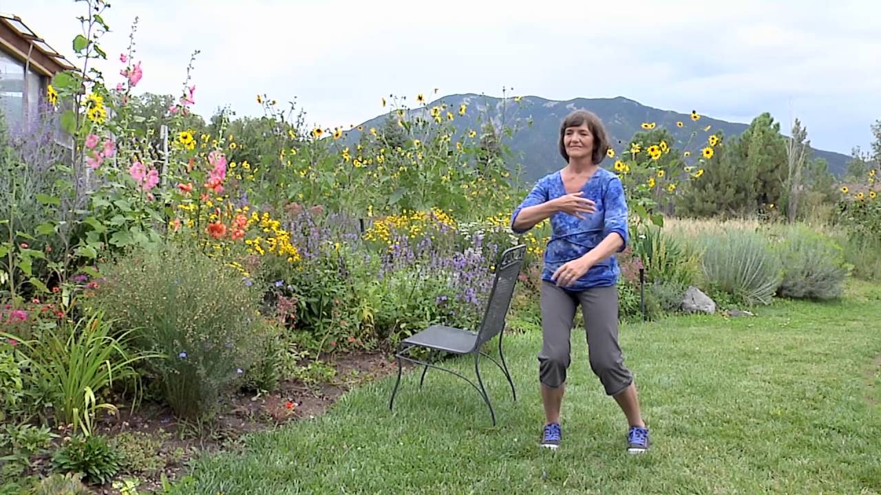 Tai Chi Fundamentals Adapted Program  Side Support Short Form Demo
