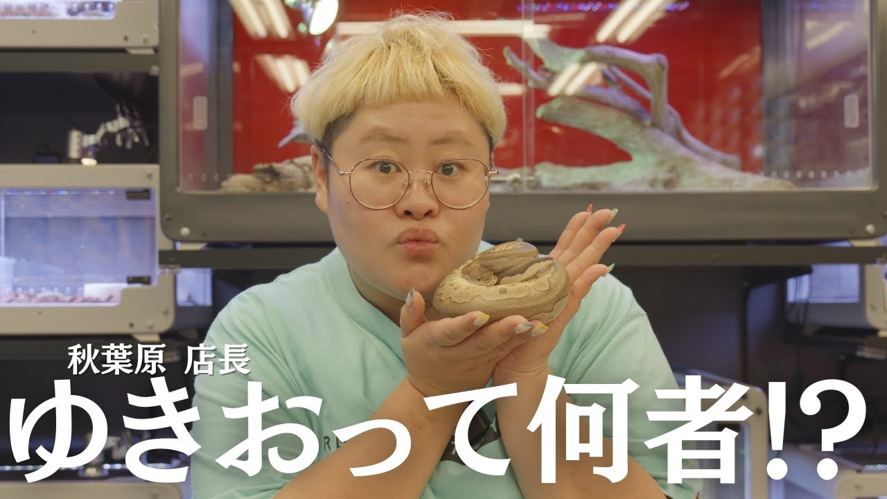 【最新版】秋葉原本店 店長のゆきおを深掘りしてみた！