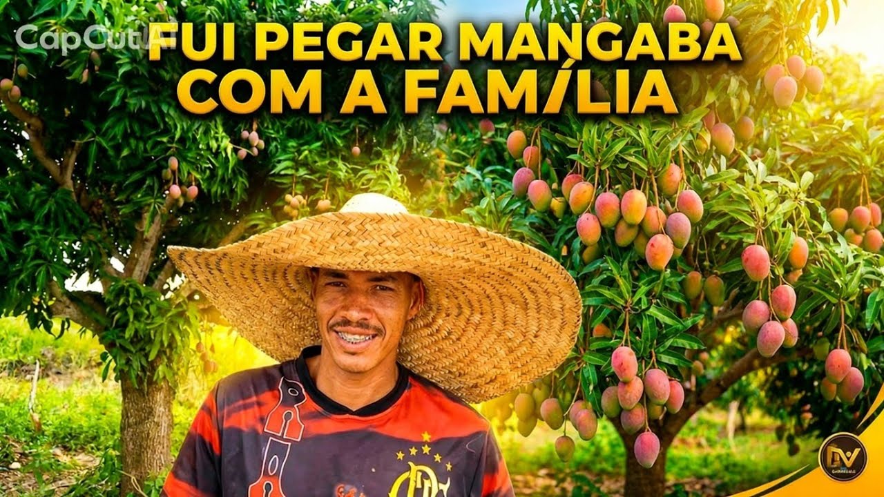 Fui buscar manga com a família 