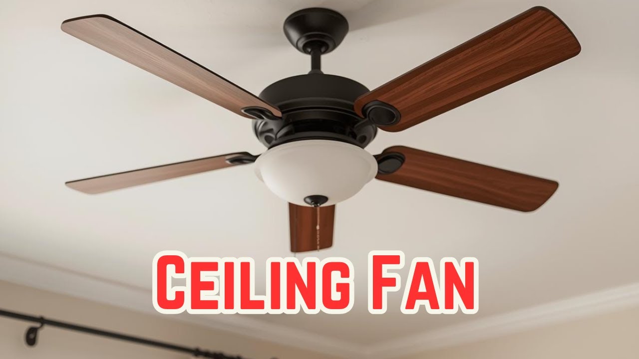 Best Fan Compilation Ever 🔥 | Epic Fan Moments That Gave Us Goosebumps