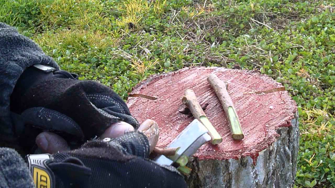 Stump kerf grafting