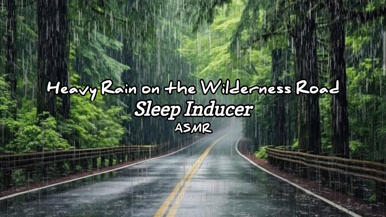 Relieve stress by sleeping to the soothing sound of heavy rain #asmrsounds #solocampinginheavyrain