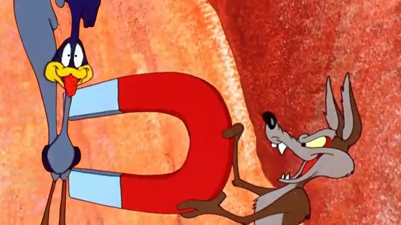 The Road Runner Show But Wilie E. Coyote Wins every time!