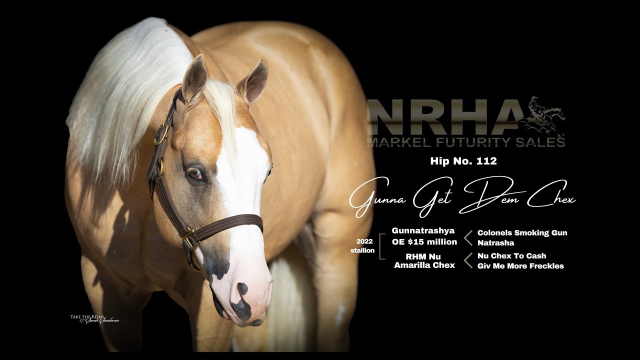 Gunna Get Dem Chex - hip no. 112 NRHA Futurity Sale