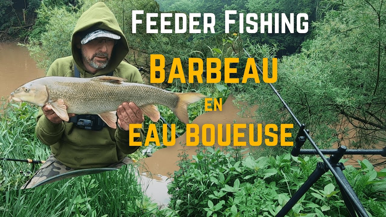 Du BARBEAU en rivière boueuse |  Pêche du barbeau au feeder sur Ourthe | Ouverture générale 2021