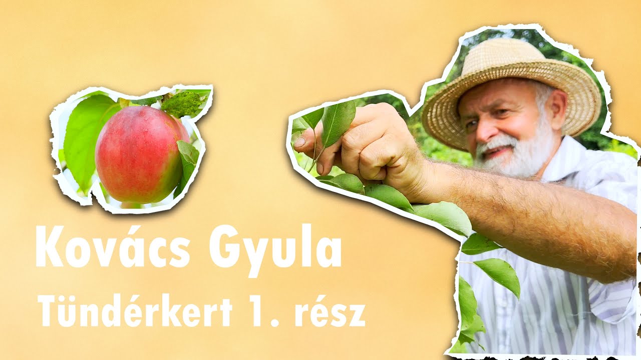 Kovács Gyula, a Tündérkertek gazdája