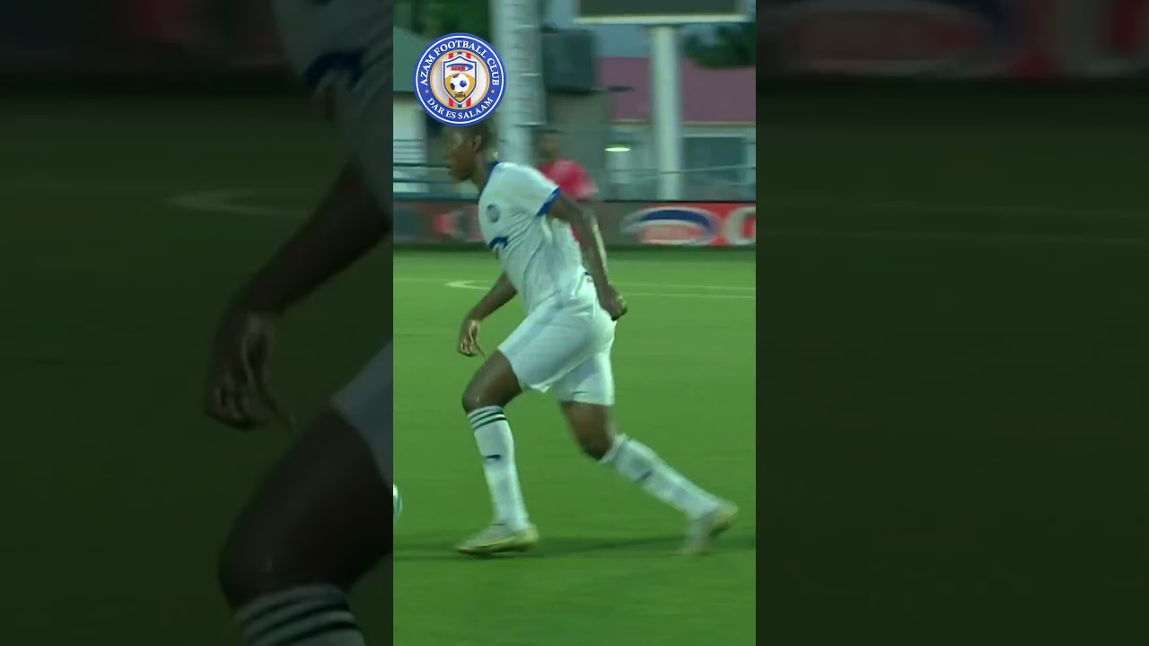 Fei Toto