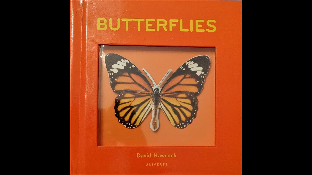 POP-UP BOOK 4K: David Hawcock - Butterflies