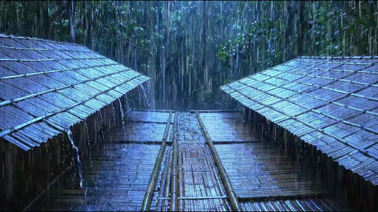 Natural Rain Sounds to Drift You to Sleep | Soothing Rain Ambience for Sleep