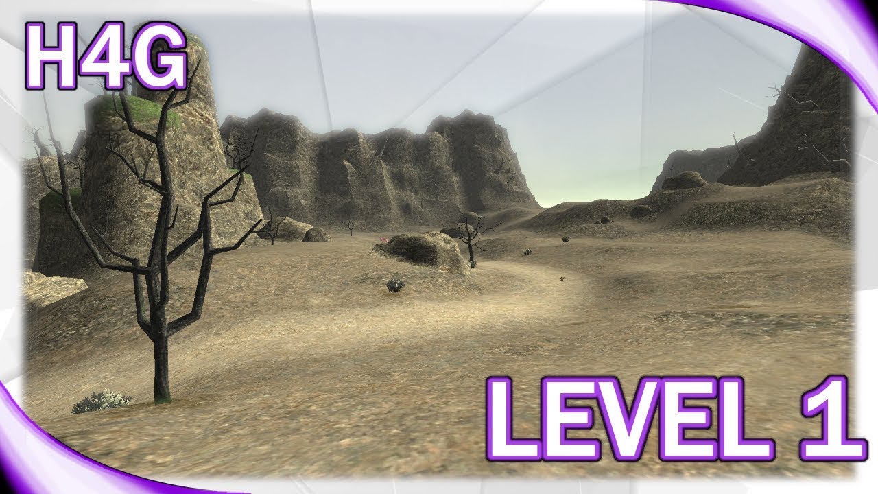 FFXI Classic - Playing on a Private Server