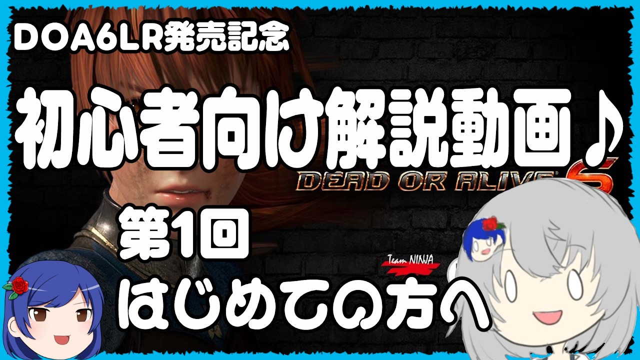 DOA6LR発売記念　DOA6初心者向け解説「初めての方へ」#doa6