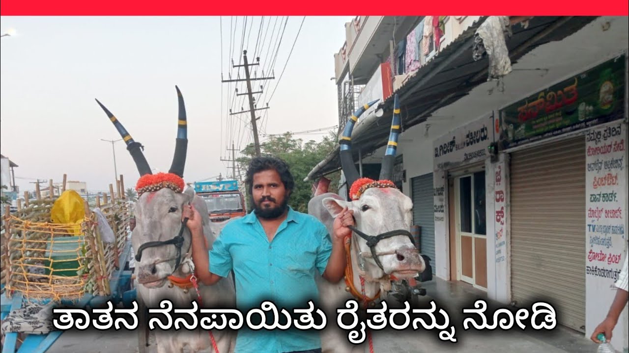 ಹಳ್ಳಿಕಾರ್ ಜೈ ಜೈ