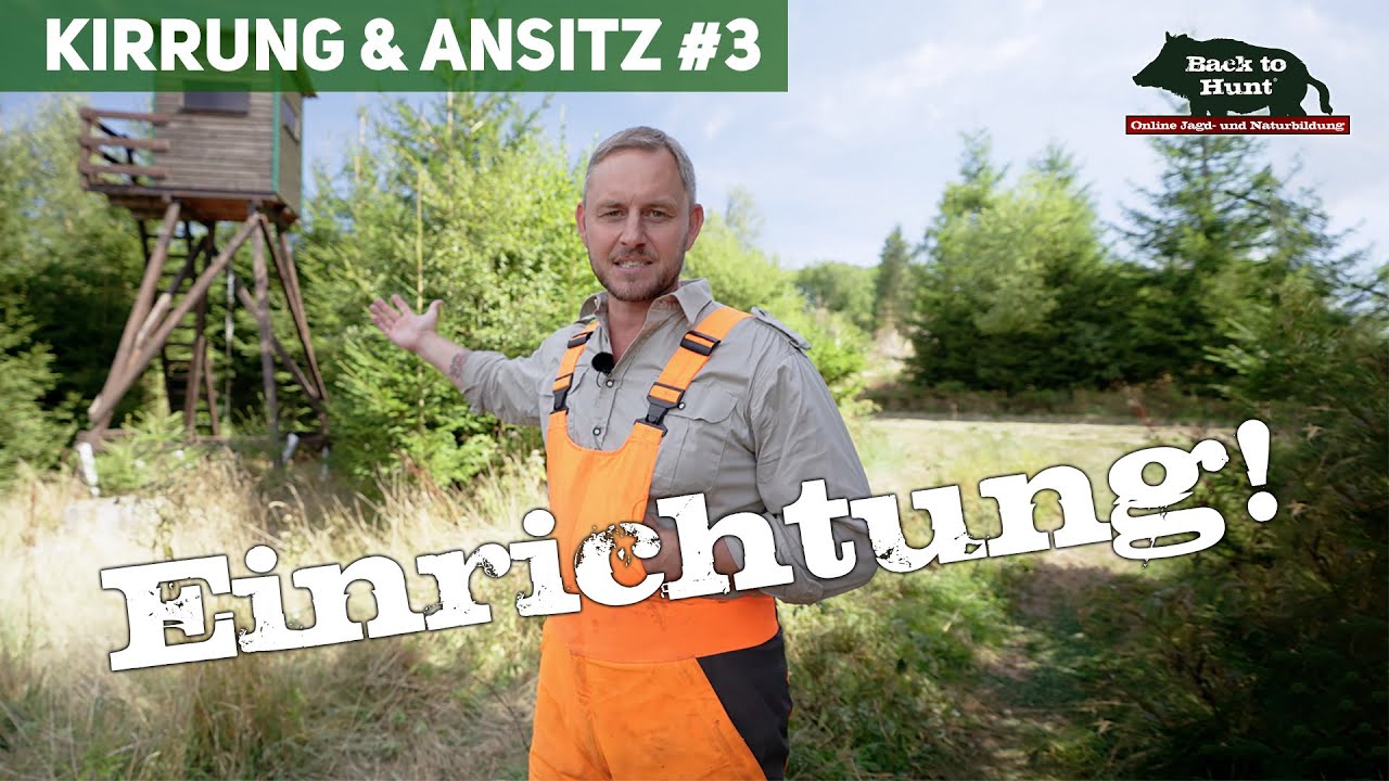 Einrichtung im Revier | Kirrung und Ansitz #3