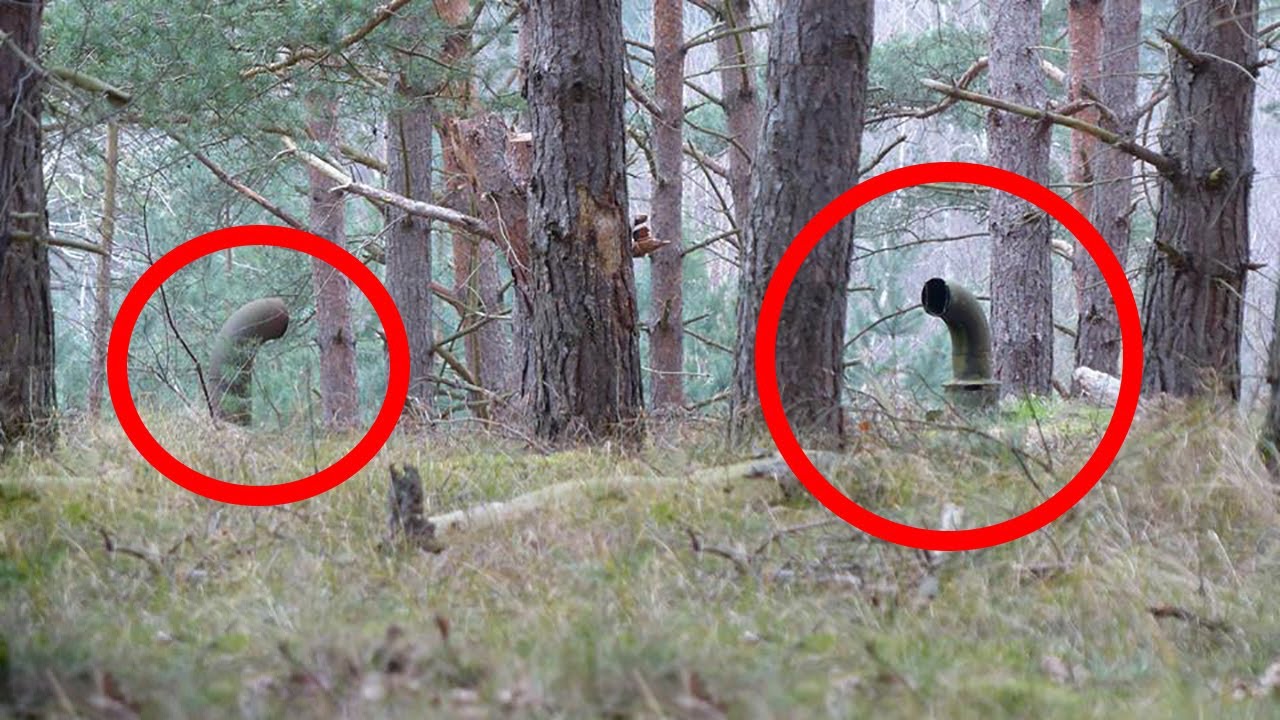5 Be&auml;ngstigende Dinge die im Wald gefunden wurden!