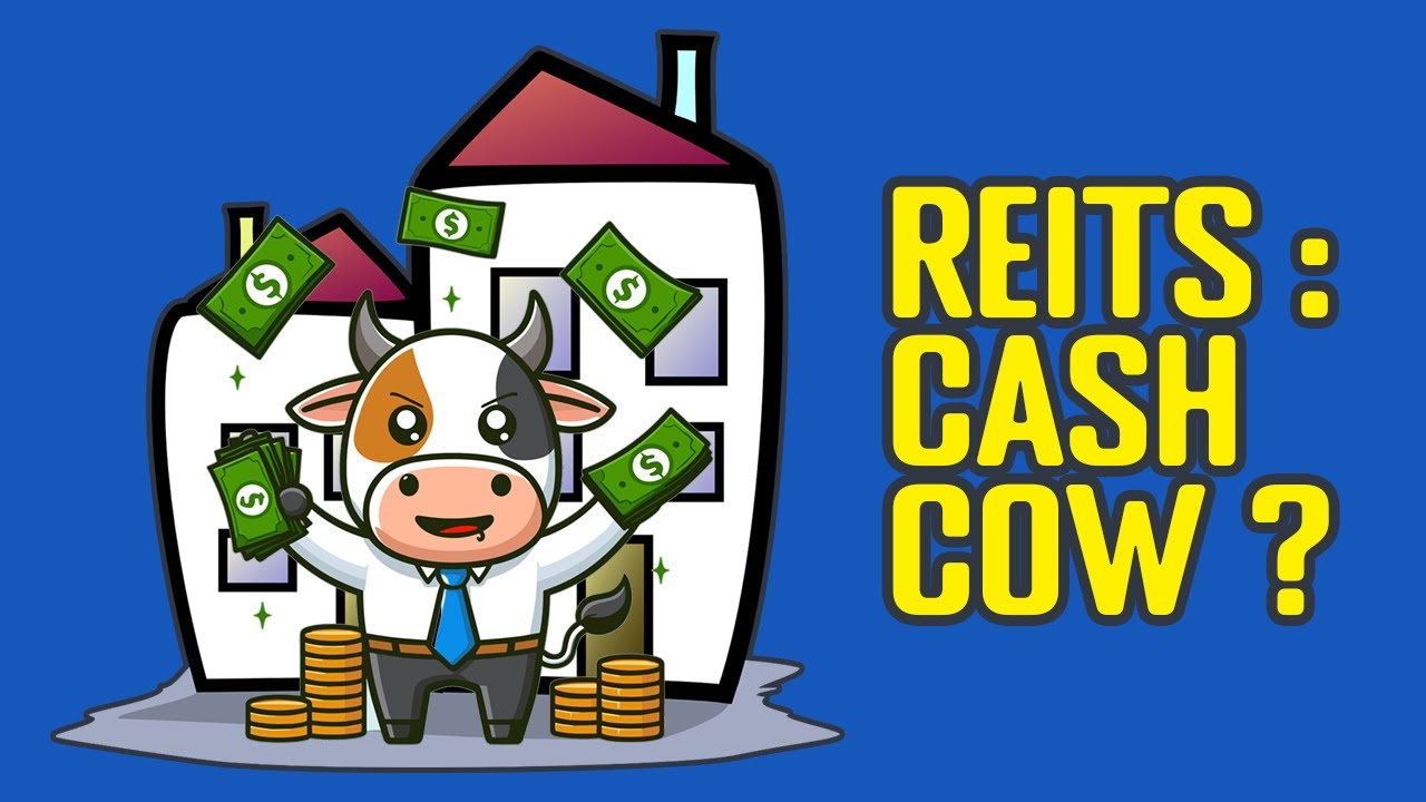 Real Estate Investment Trusts (REITs) Explained : Introduction, Categories And Qualifications
