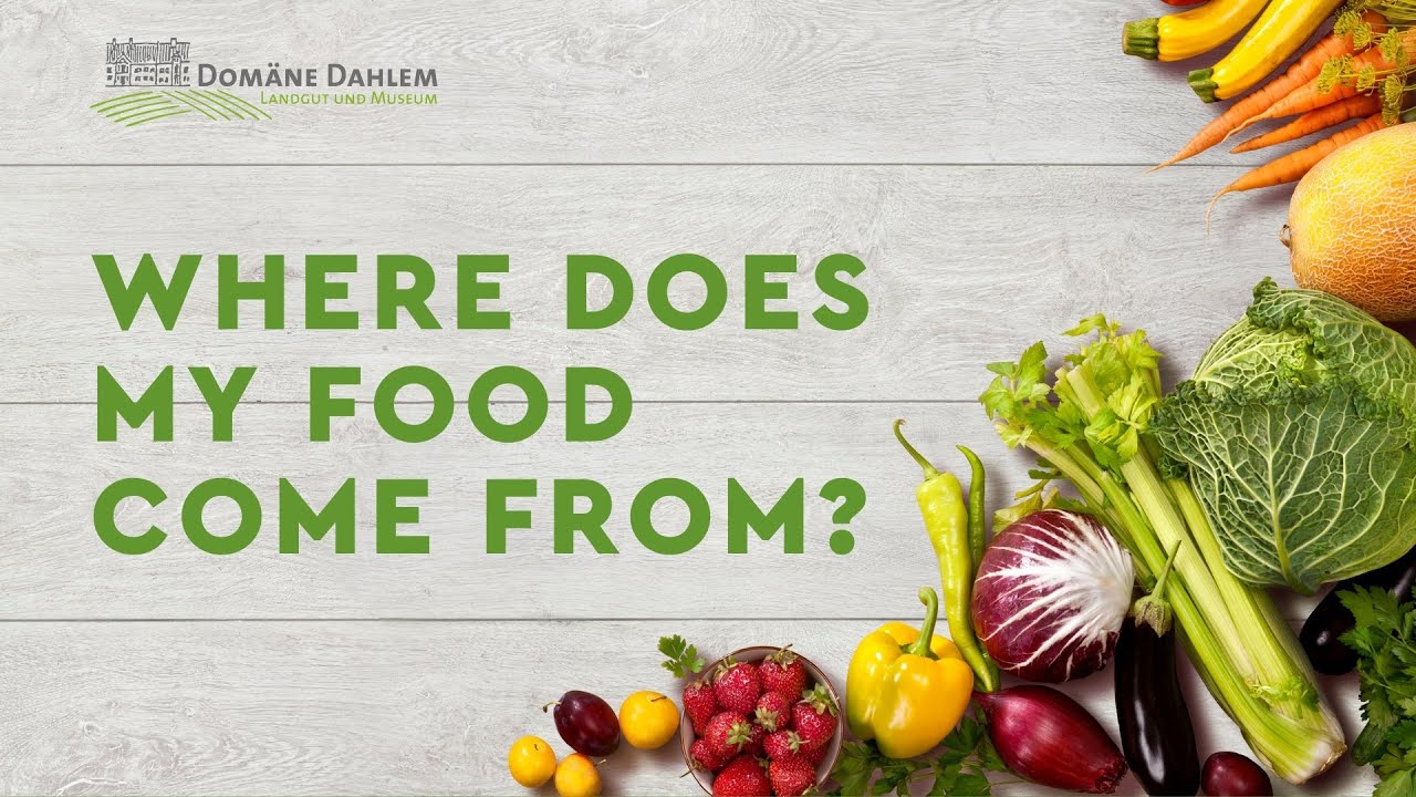 Where does my food come from? A visit to Domäne Dahlem – Museum for food and agriculture