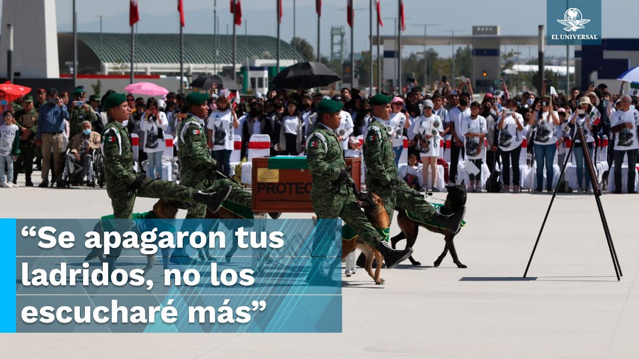 Con emotivo mensaje, entrenador de Proteo se despide de él