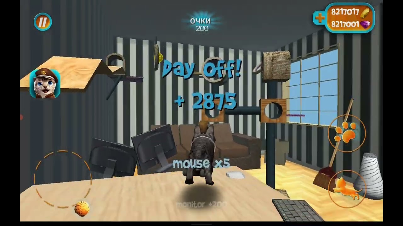 Cat simulator part 4 House gaming