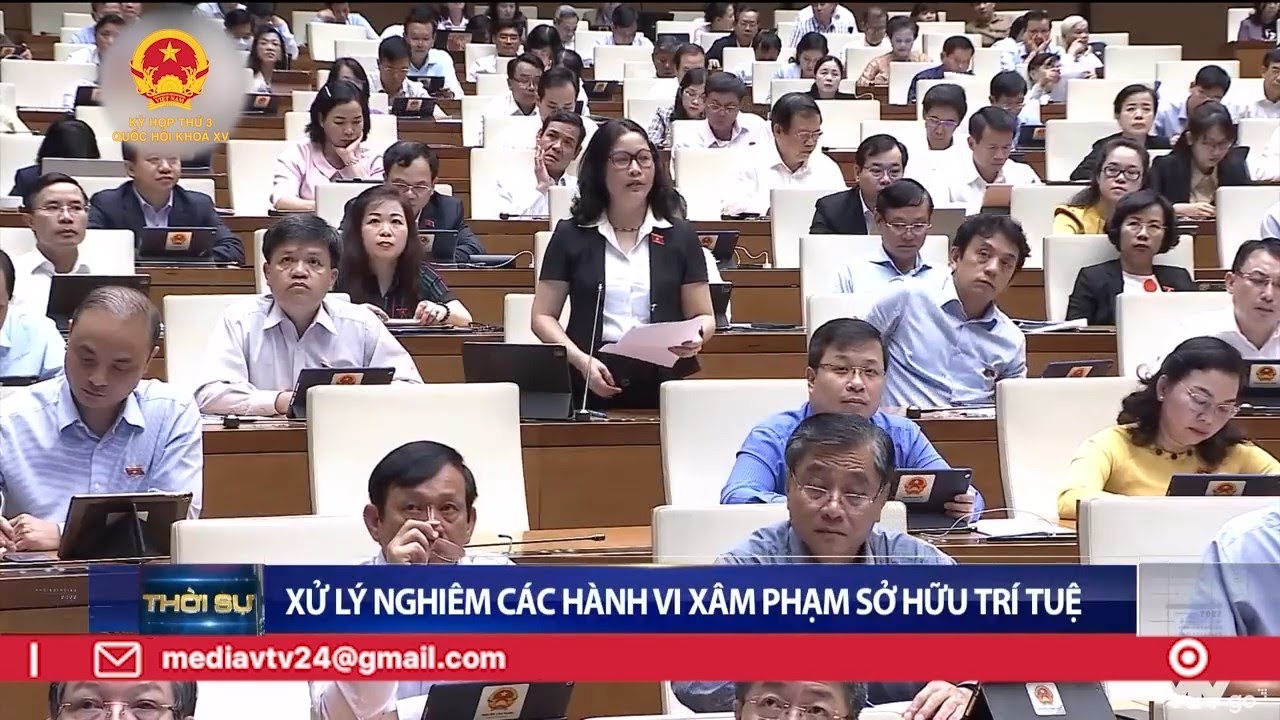 Xử lý nghiêm các hành vi xâm phạm sở hữu trí tuệ | VTV24