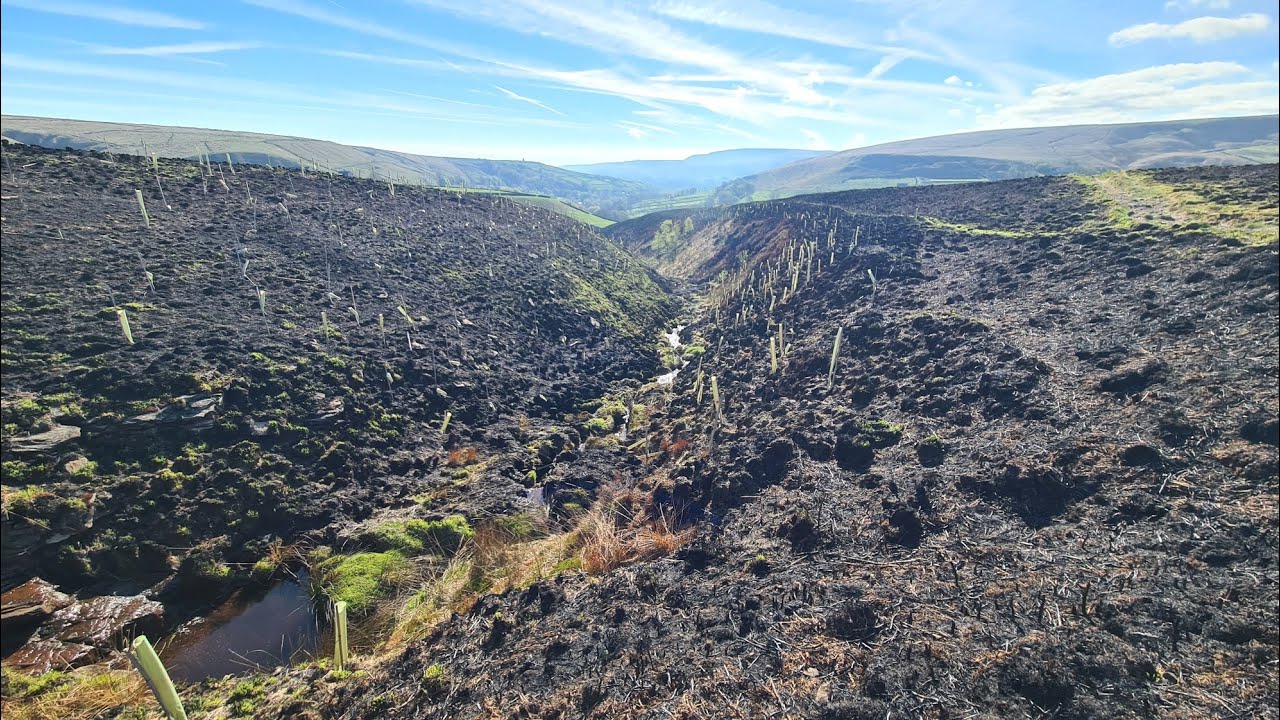 Scorched Earth; Aftermath of a Moorland Wildfire - Marden West Yorkshire