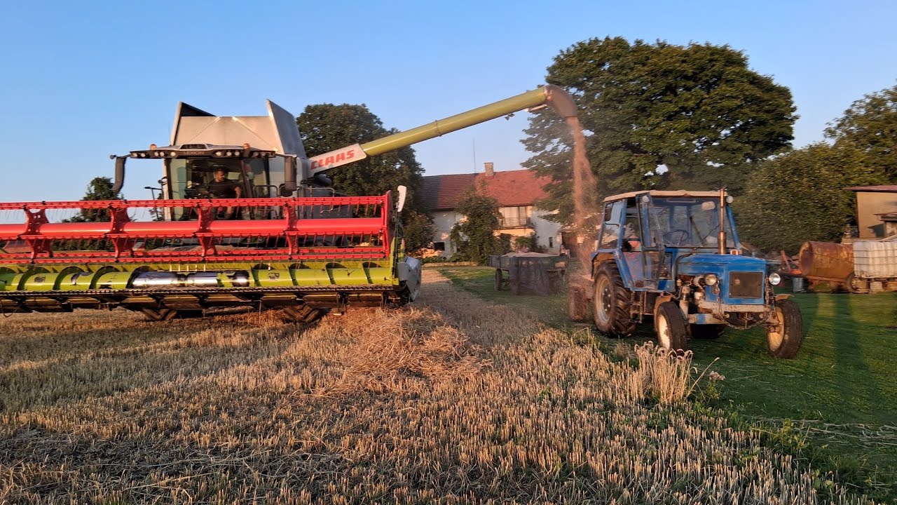 Žně pšenice claas lexion 6700 zetor 6911