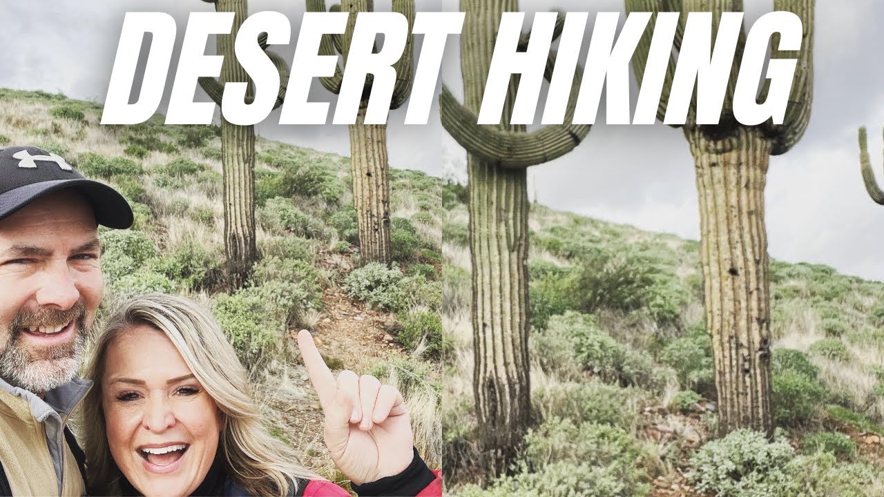 BEST DESERT HIKE!!!//McDowell Mountain Regional Park//Scenic Trail