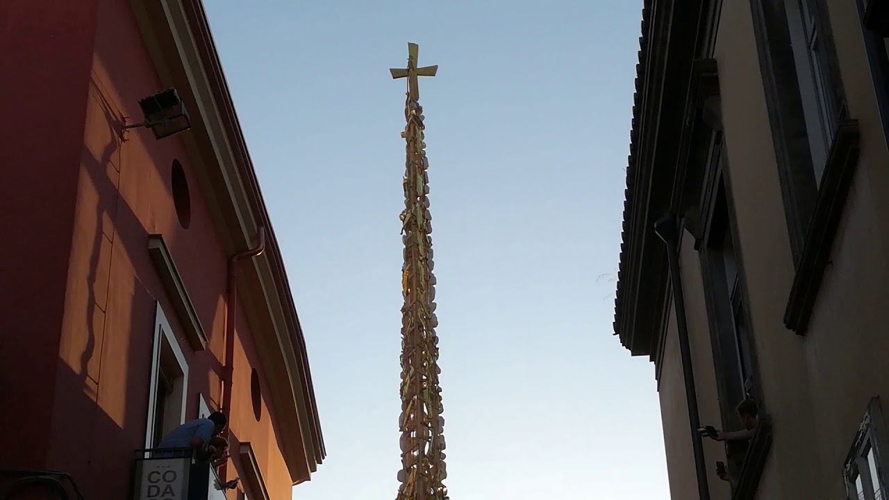 Nola 2019 - POLLICINO CAPAROSSA
