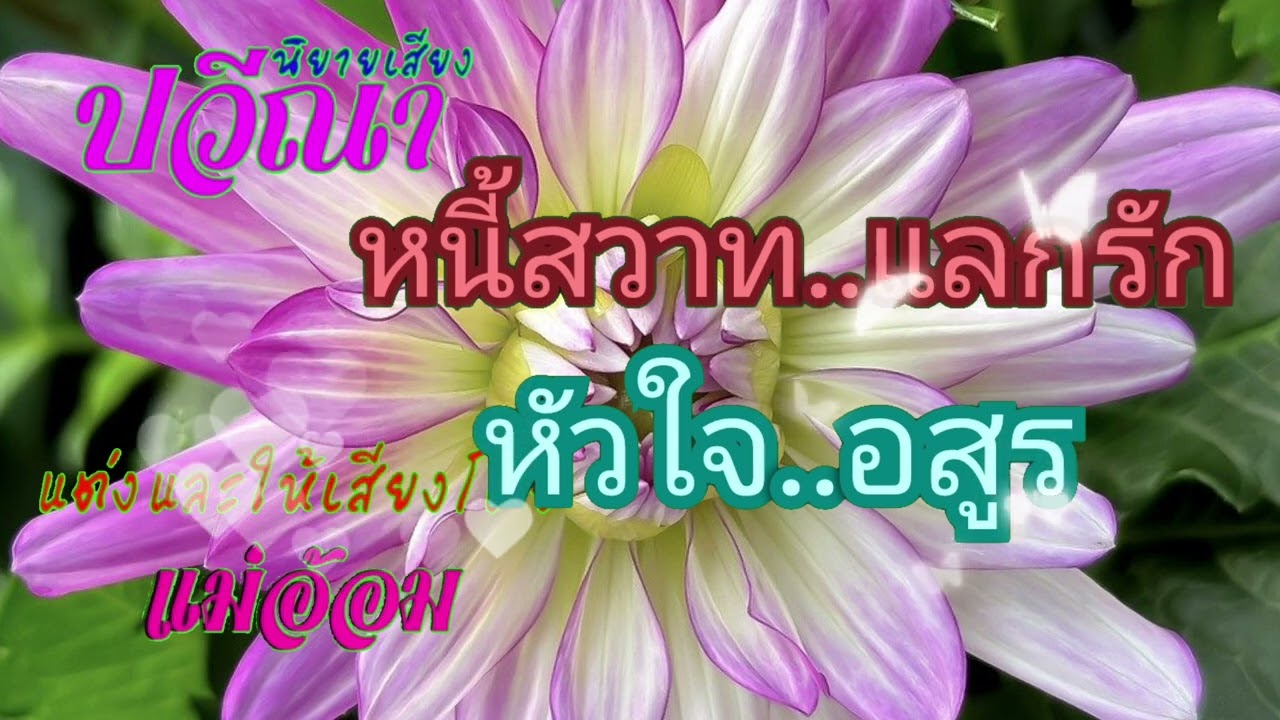 หนี้สวาทแลกรักหัวใจอสูร(จบในตอน) #นิยายเสียง #meeaom