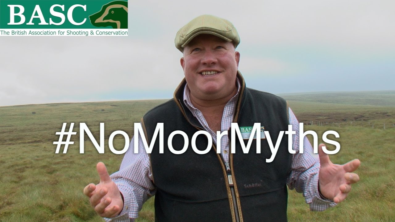 Grouse shooting  