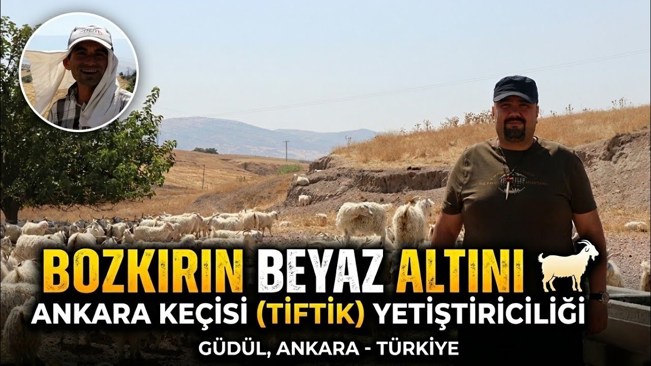 Ankara - Güdül
